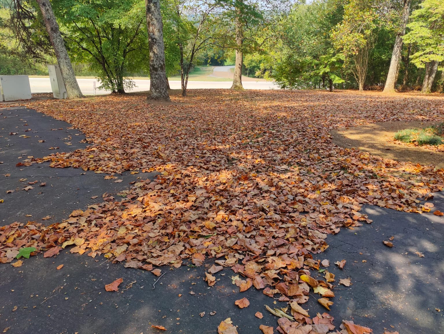 Driveway and lawn buried in fallen leaves before cleanup
