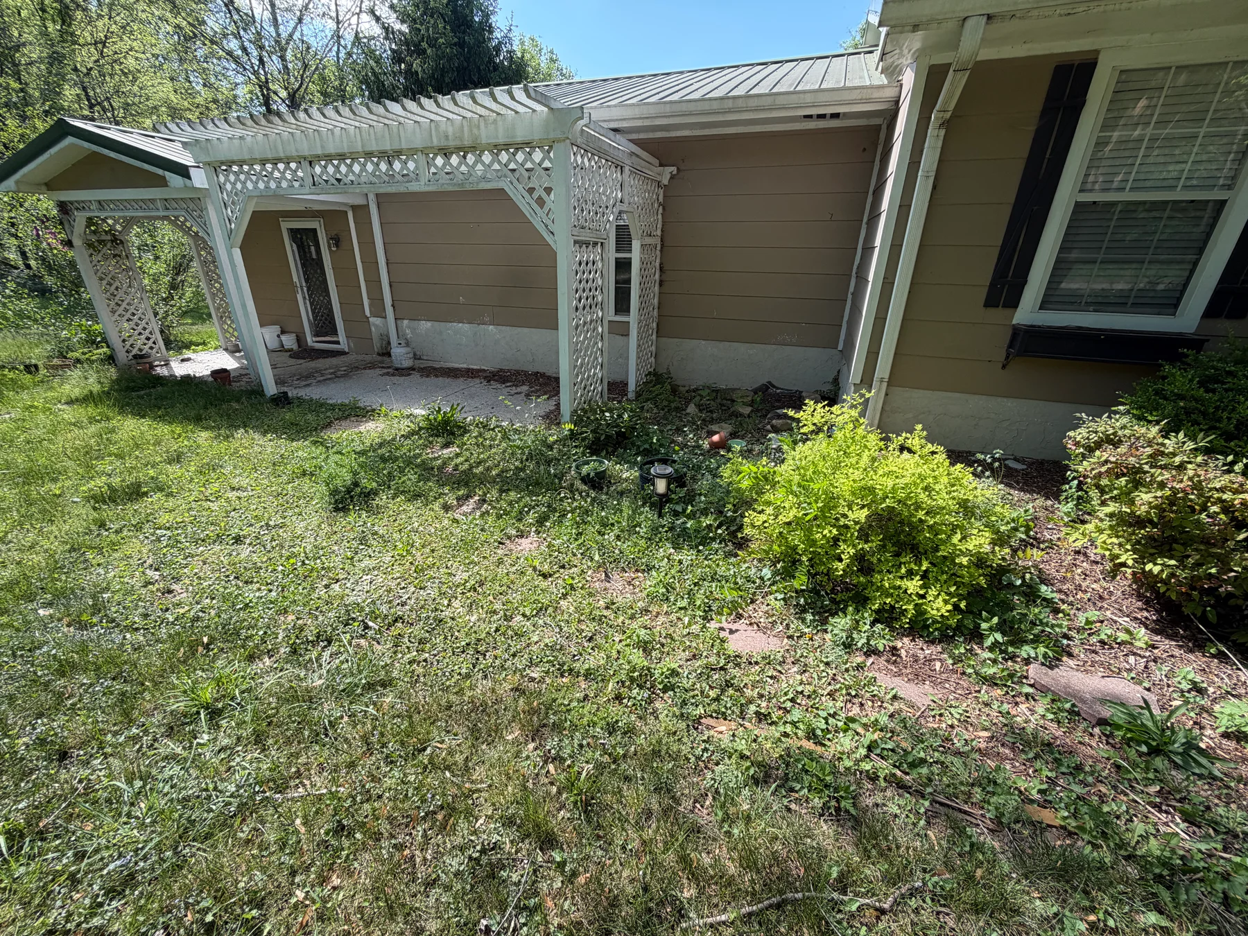 Before photo 1