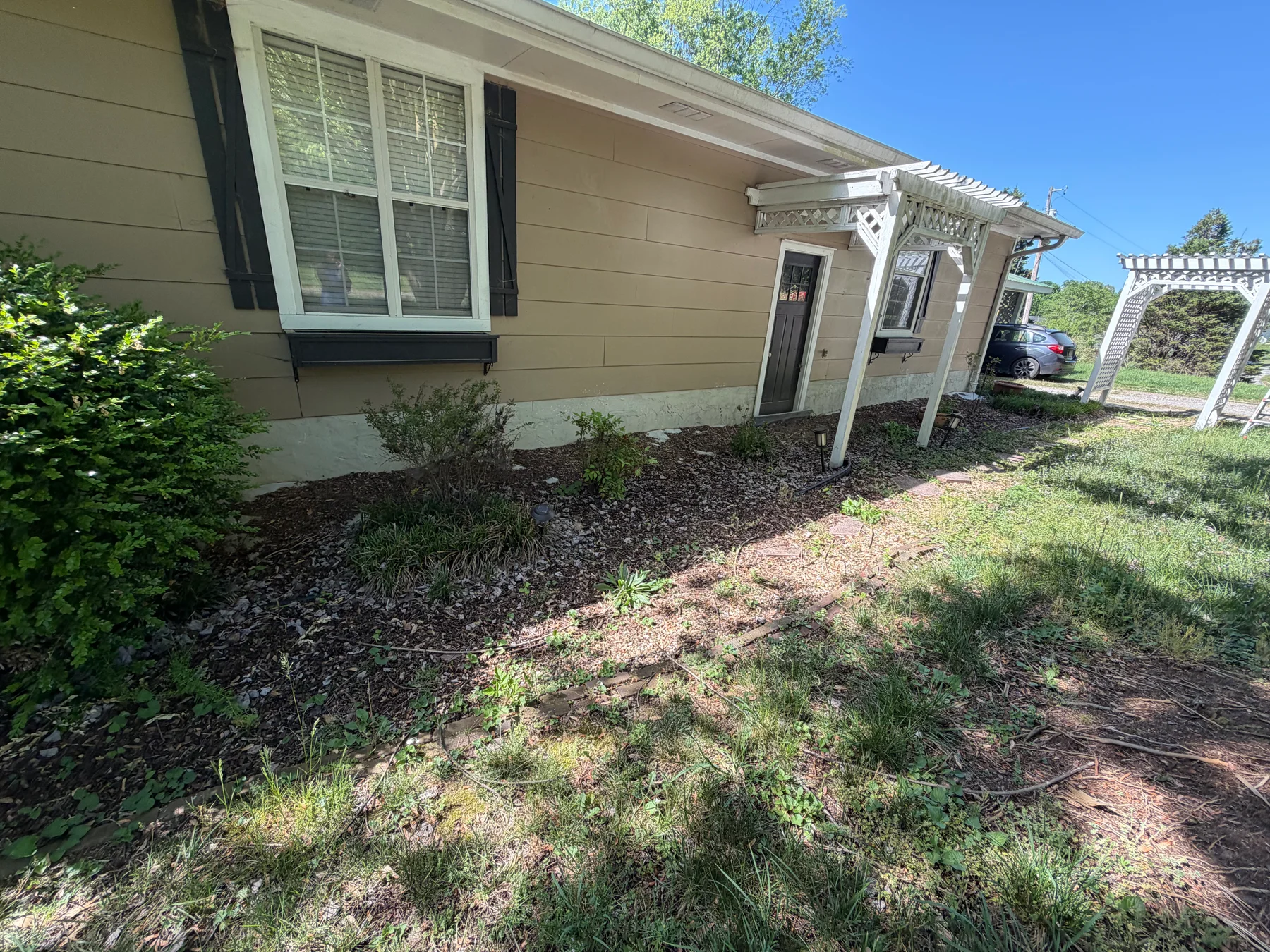 Before photo 2