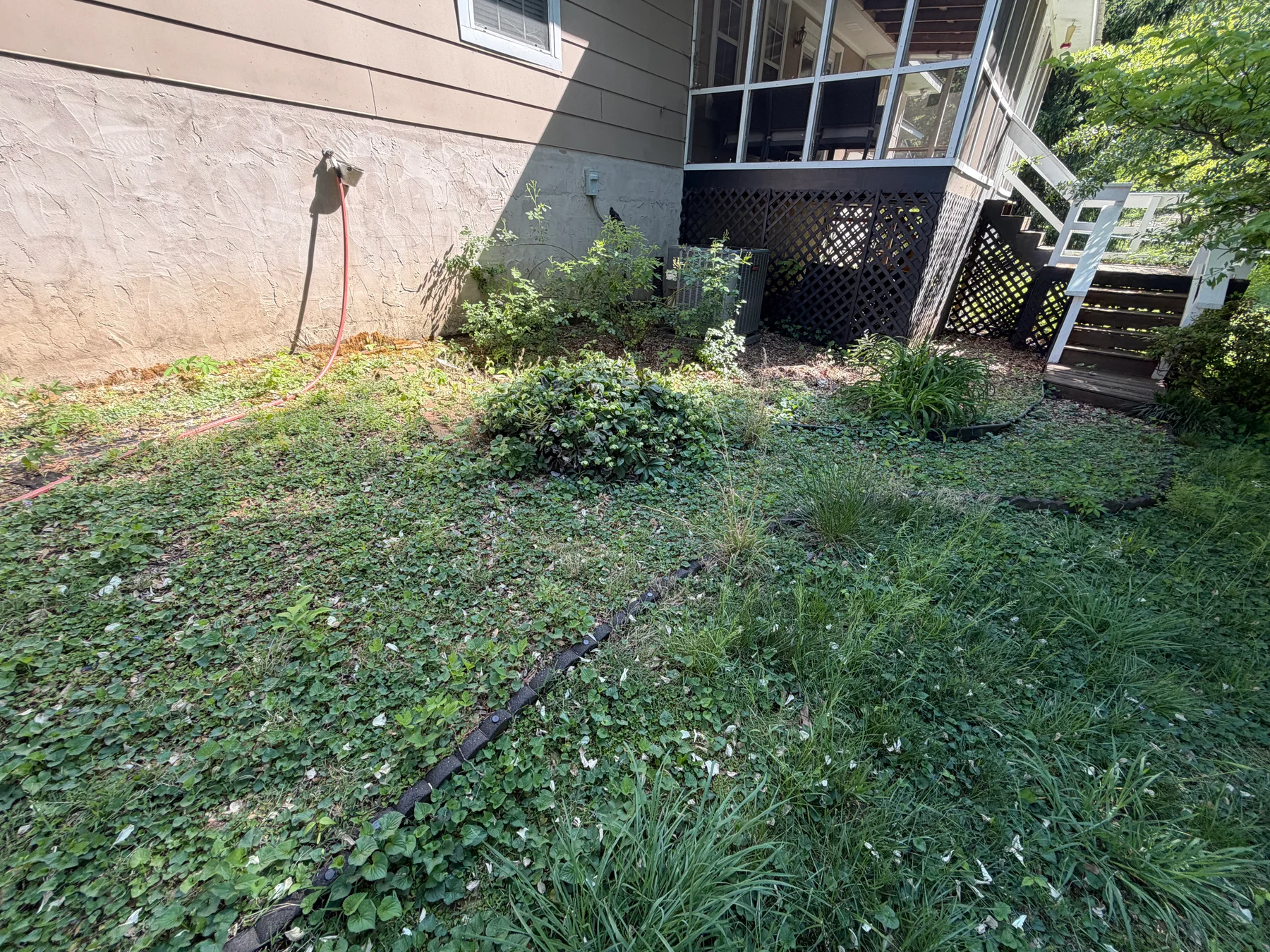 Before photo 3