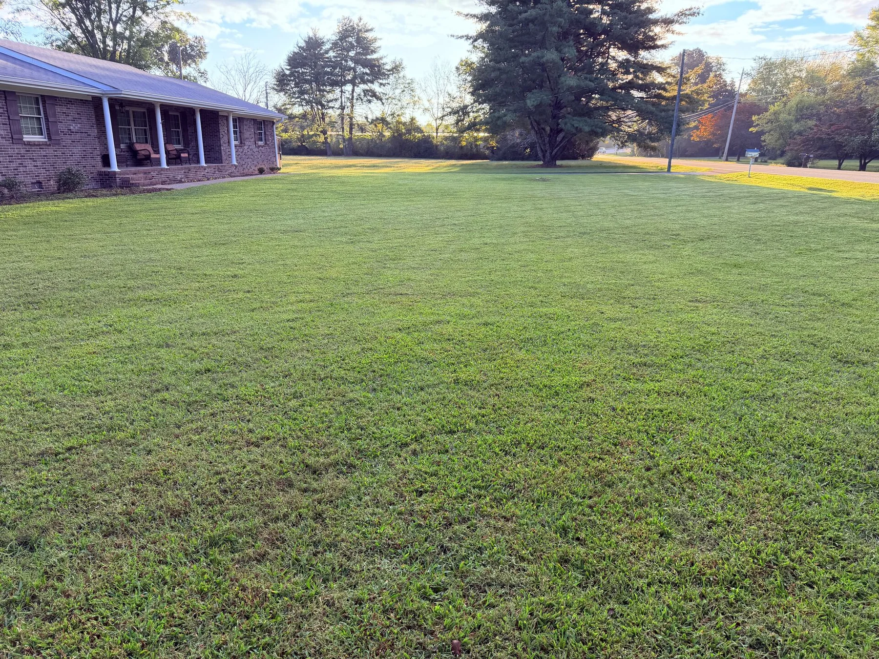 Full Mow & Cleanup  — Soddy Daisy